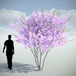 VizPark Real Trees Sakura Umbrella V1 